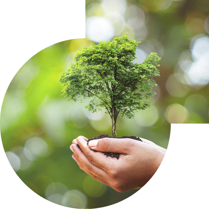 關懷人類、文化、環境與社會